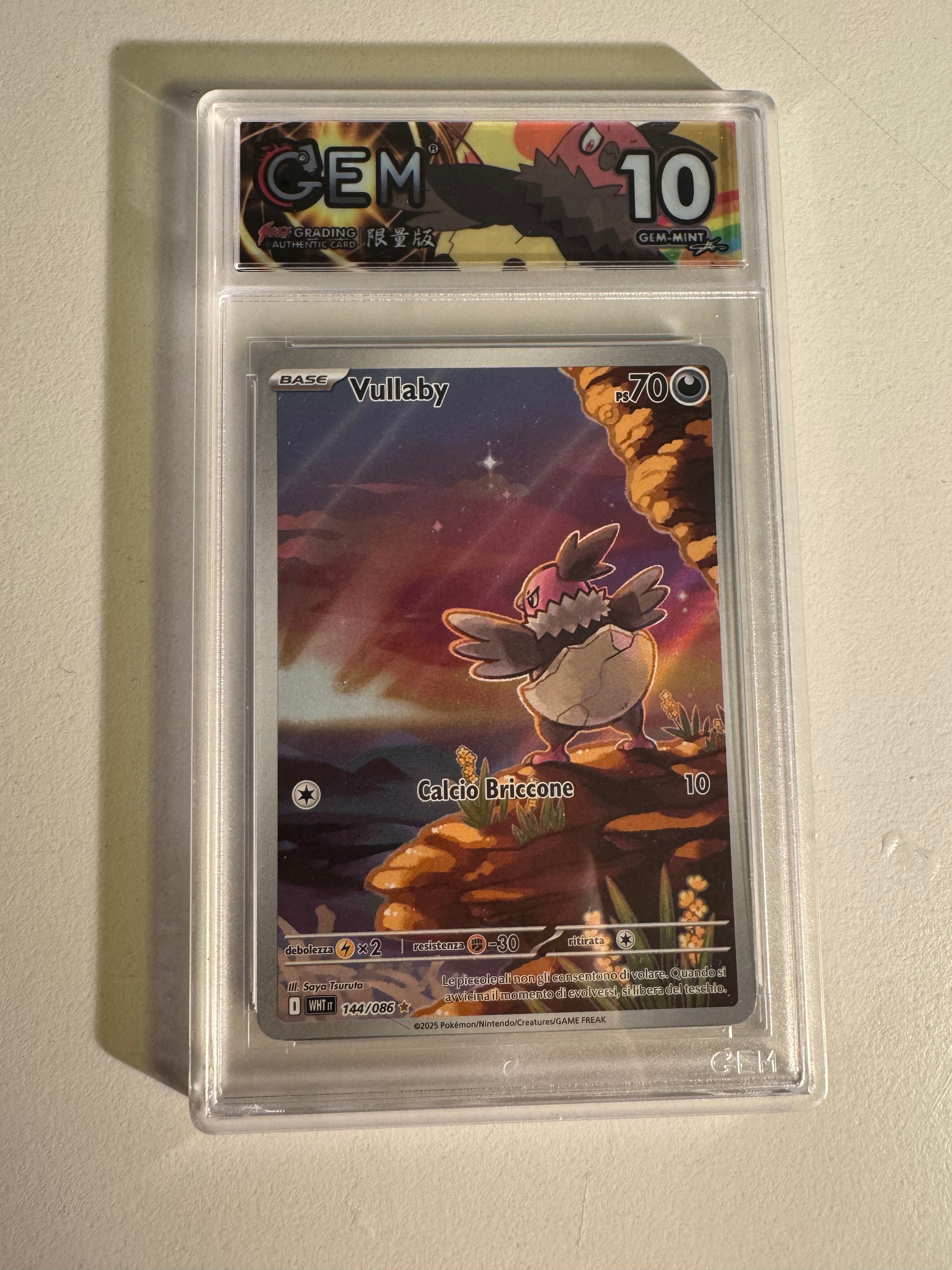 [1 Poke-ball] 2 pacchetti a sorpresa + carta raw a sorpresa e possibile gradata (4/50)