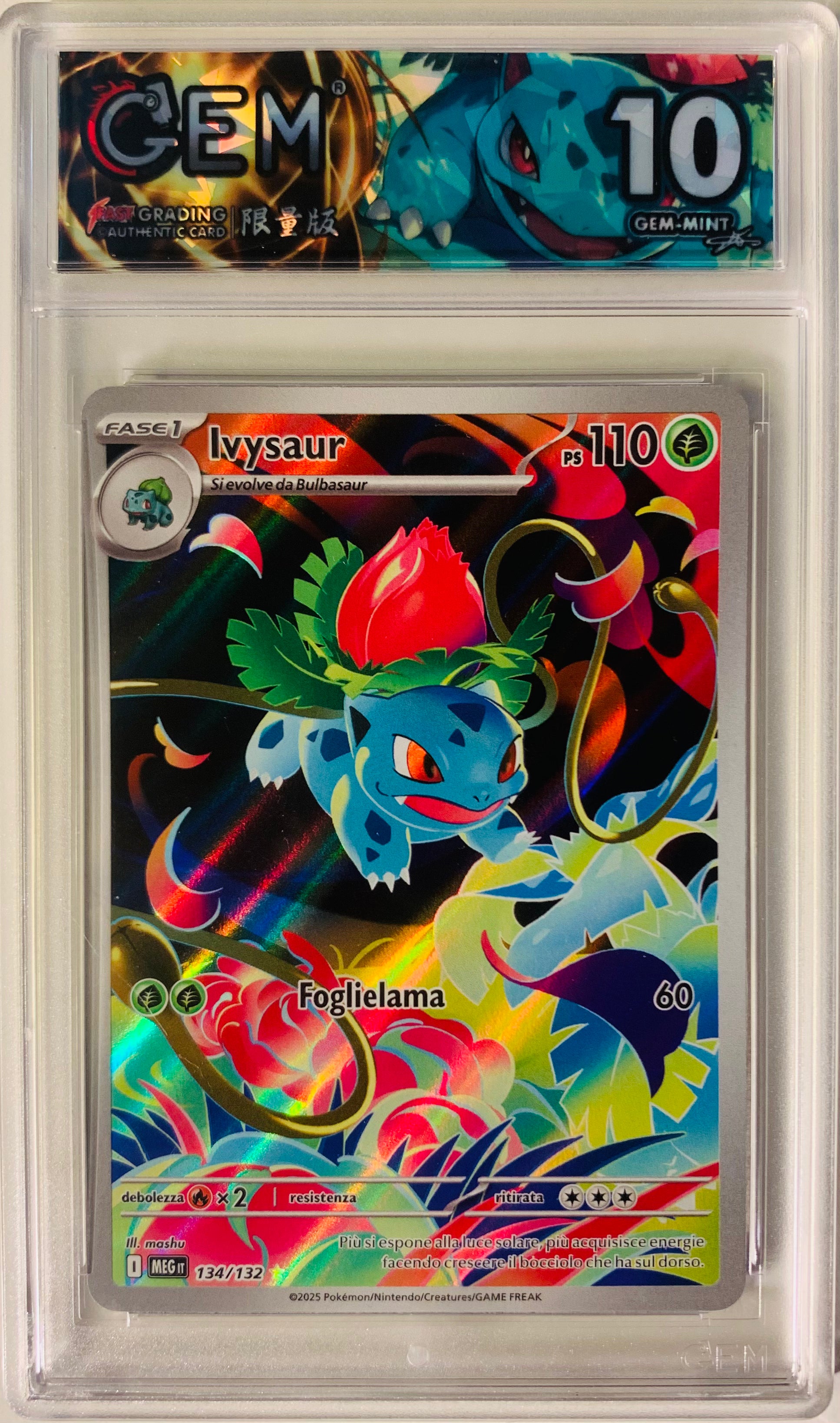 Ivysaur Illustrazione Rara 134/132 Megaevoluzione GEM 10
