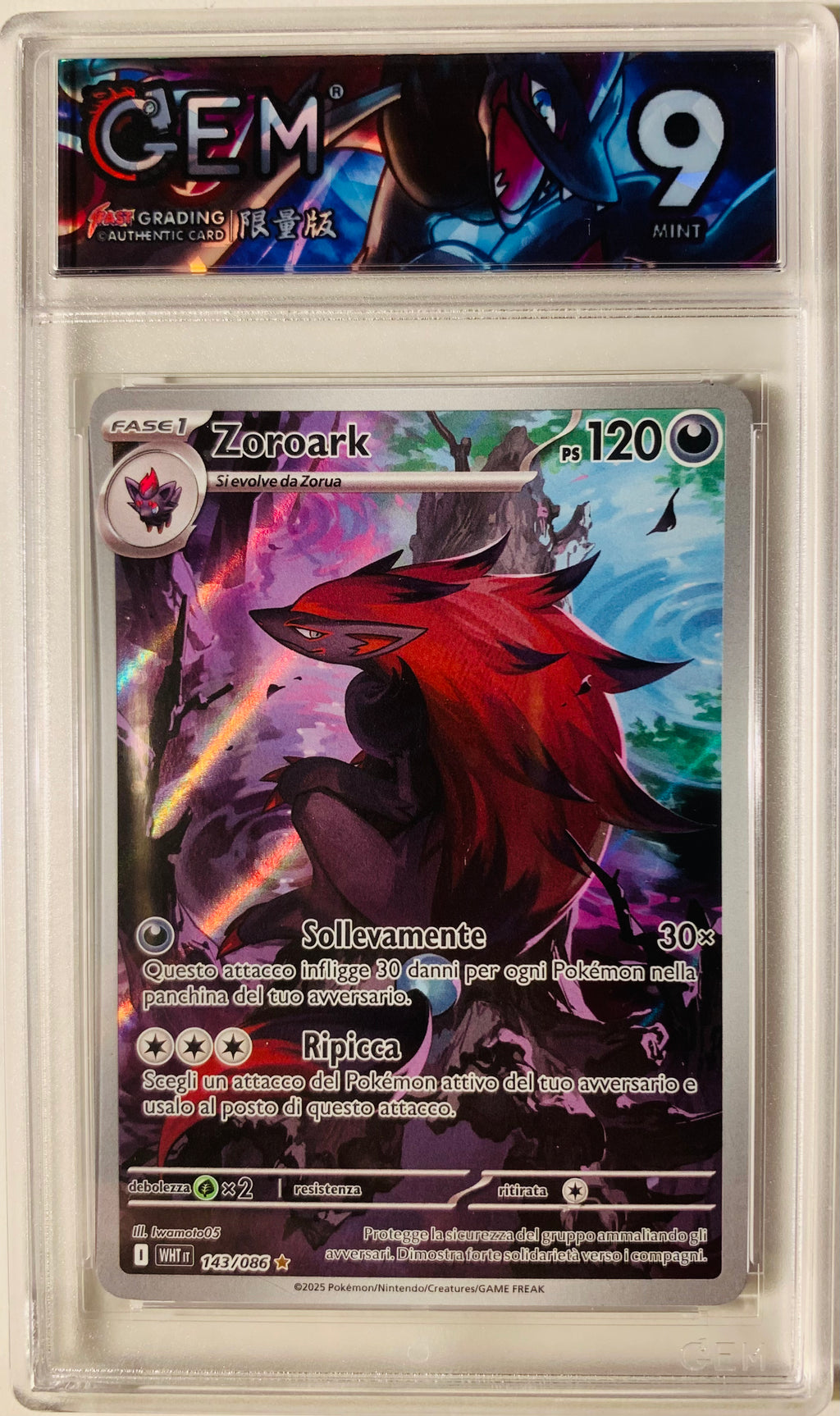 Zoroark Illustrazione Rara 143/086 Fuoco Bianco - Near Mint GEM 9